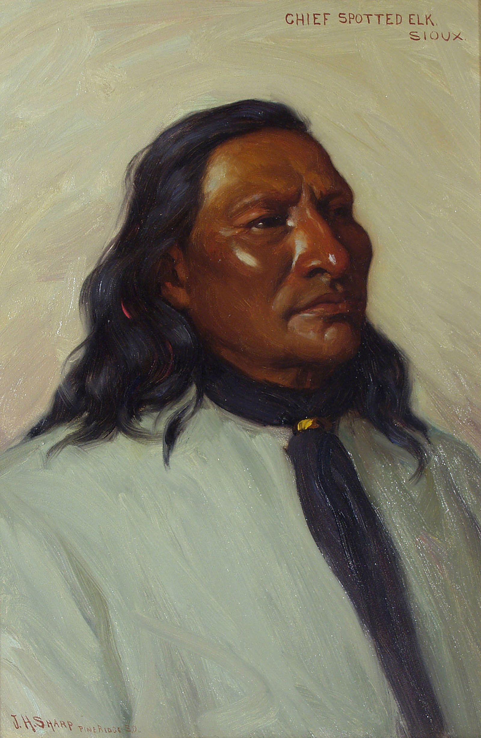 Chief Spotted Elk - Sioux